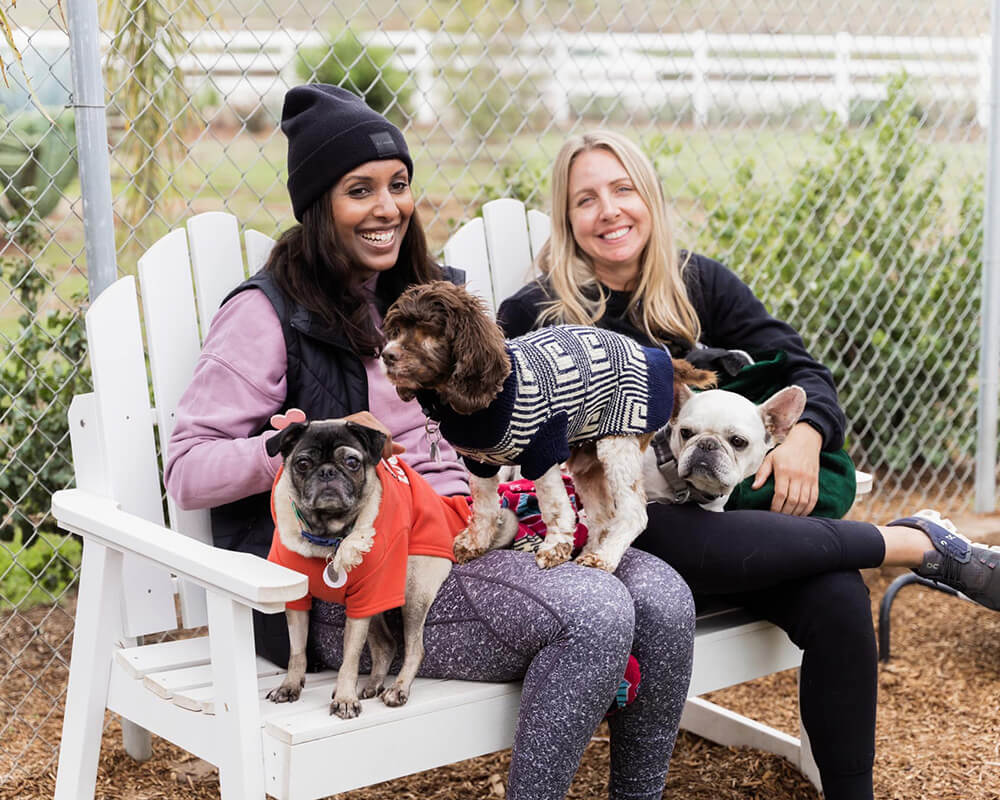 two people with dogs in their laps