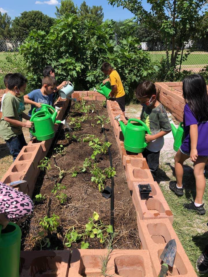 children growing plants